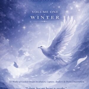 The Vigilant Spirit Dream Journal Volume One Winter